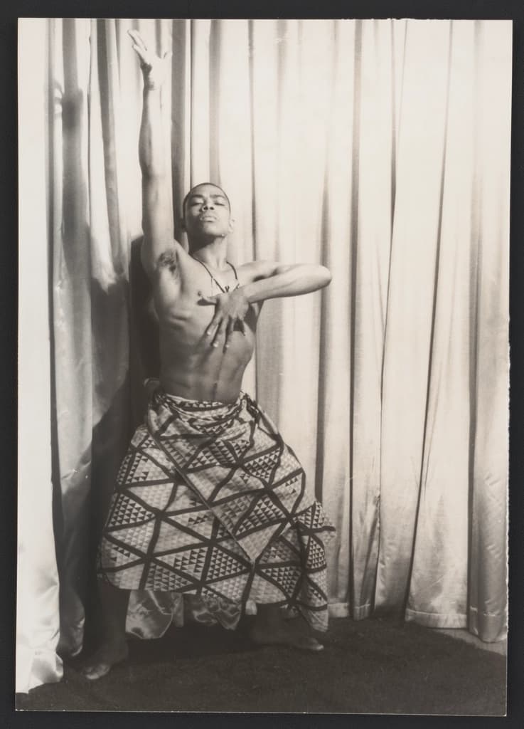 Danse — Alvin Ailey American Dance Theater
